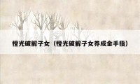橙光破解子女(橙光破解子女养成金手指)
