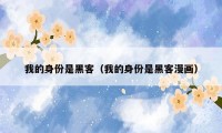 我的身份是黑客（我的身份是黑客漫画）