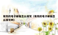 有效的电子邮箱怎么填写（有效的电子邮箱怎么填写啊）