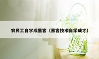 农民工自学成黑客(黑客技术自学成才)