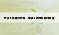 数学天才遇到黑客(数学天才跟黑客的较量)