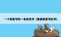 一个黑客写的一本投资书（美国黑客写的书）