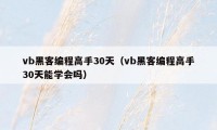 vb黑客编程高手30天（vb黑客编程高手30天能学会吗）