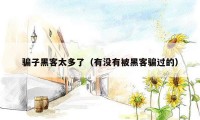 骗子黑客太多了（有没有被黑客骗过的）