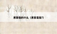 黑客指的什么(黑客是指?)