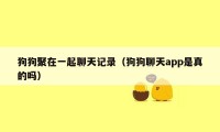 狗狗聚在一起聊天记录（狗狗聊天app是真的吗）