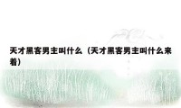 天才黑客男主叫什么（天才黑客男主叫什么来着）