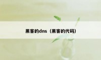 黑客的dns（黑客的代码）
