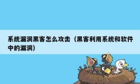 系统漏洞黑客怎么攻击（黑客利用系统和软件中的漏洞）