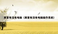 黑客有没有电脑(黑客有没有电脑操作系统)