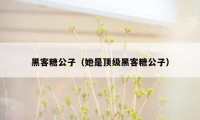黑客糖公子（她是顶级黑客糖公子）