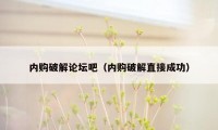内购破解论坛吧（内购破解直接成功）