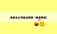 黑客去公司面试视频(黑客聘请)
