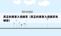 真正的黑客入侵国家(真正的黑客入侵国家有哪些)