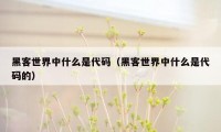黑客世界中什么是代码(黑客世界中什么是代码的)