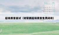 超级黑客面试(谢荣鹏超级黑客免费阅读)