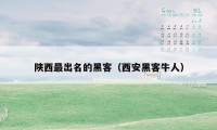 陕西最出名的黑客（西安黑客牛人）