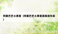 阿里巴巴小黑客(阿里巴巴小黑客吴翰清年薪)