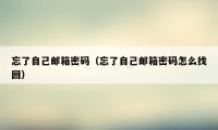 忘了自己邮箱密码(忘了自己邮箱密码怎么找回)