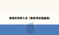 黑客的传奇人生（黑客传说笔趣阁）