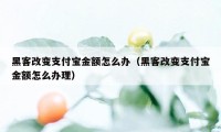 黑客改变支付宝金额怎么办(黑客改变支付宝金额怎么办理)