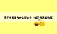 俄罗斯黑客为什么那么牛(俄罗斯黑客教程)