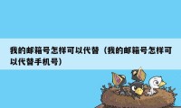 我的邮箱号怎样可以代替(我的邮箱号怎样可以代替手机号)