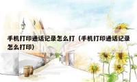 手机打印通话记录怎么打（手机打印通话记录怎么打印）