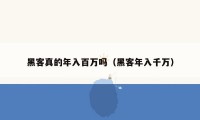 黑客真的年入百万吗(黑客年入千万)