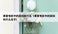 黑客电影中的鼠标叫什么(黑客电影中的鼠标叫什么名字)