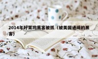 2014年好莱坞黑客被抓（被美国通缉的黑客）