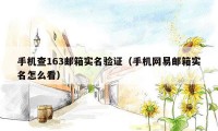 手机查163邮箱实名验证（手机网易邮箱实名怎么看）