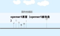 openwrt黑客（openwrt被攻击）