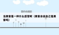 当黑客是一种什么感觉呢(黑客会说自己是黑客吗)