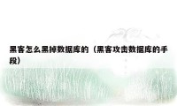 黑客怎么黑掉数据库的(黑客攻击数据库的手段)