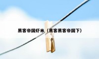 黑客帝国虾米(黑客黑客帝国下)
