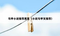 马甲小说推荐黑客(小说马甲文推荐)