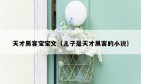 天才黑客宝宝文(儿子是天才黑客的小说)