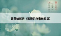 蔷薇破解污(蔷薇的秘密破解版)