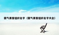 霸气黑客组织名字（霸气黑客组织名字大全）