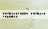 苹果手机怎么进入黑客控件(苹果手机怎么进入黑客控件界面)