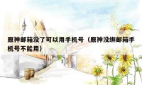 原神邮箱没了可以用手机号(原神没绑邮箱手机号不能用)
