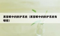 黑客眼中的防护系统（黑客眼中的防护系统有哪些）