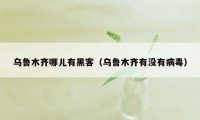 乌鲁木齐哪儿有黑客(乌鲁木齐有没有病毒)