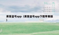 黑客盗号app(黑客盗号app下载苹果版)