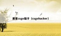 黑客csgo箱子（csgohacker）