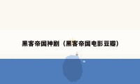 黑客帝国神剧（黑客帝国电影豆瓣）