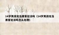 14岁男孩充当黑客犯法吗(14岁男孩充当黑客犯法吗怎么处理)