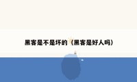 黑客是不是坏的（黑客是好人吗）