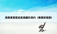 夜鹰黑客壁纸高级图片简约（黑鹰和夜鹰）